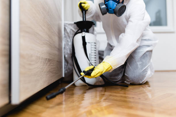 Best Pest Control for Homes  in Hillsborough, NJ