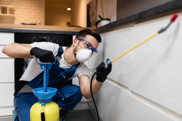 Best Exterminator Services  in Hillsborough, NJ