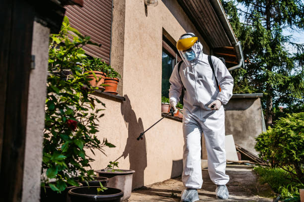 Pest Prevention Services in Hillsborough, NJ
