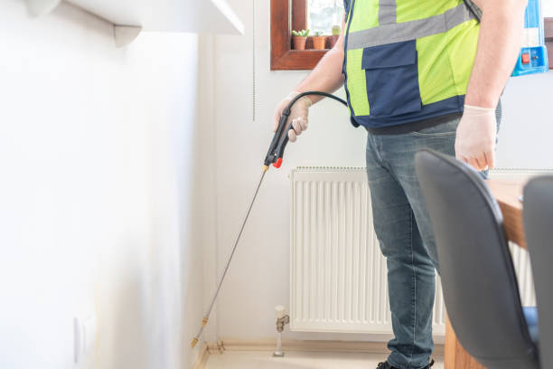 Best Rat Extermination Near Me  in Hillsborough, NJ
