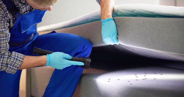 Best Termite Control Services  in Hillsborough, NJ