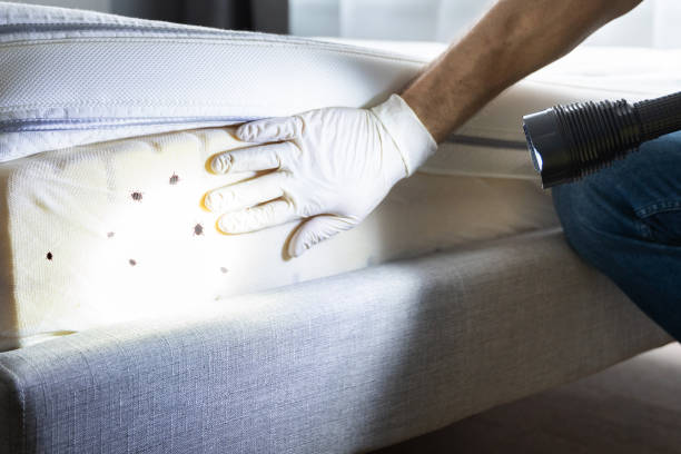 Best Residential Pest Control  in Hillsborough, NJ