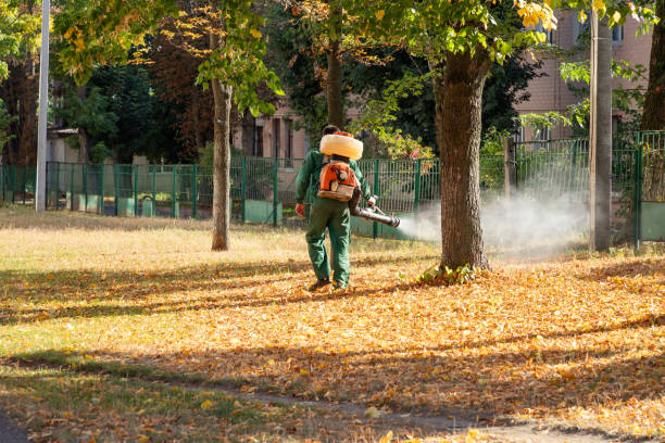 Reliable Hillsborough, NJ Pest Control Solutions