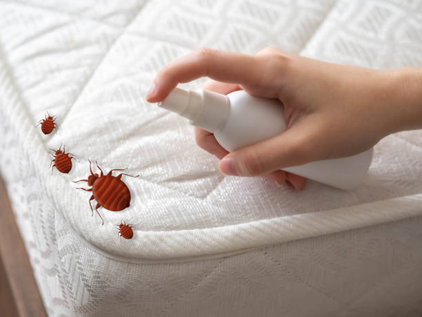 Insect Control in Hillsborough, NJ
