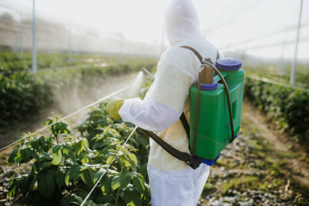  Hillsborough, NJ Pest Control Pros